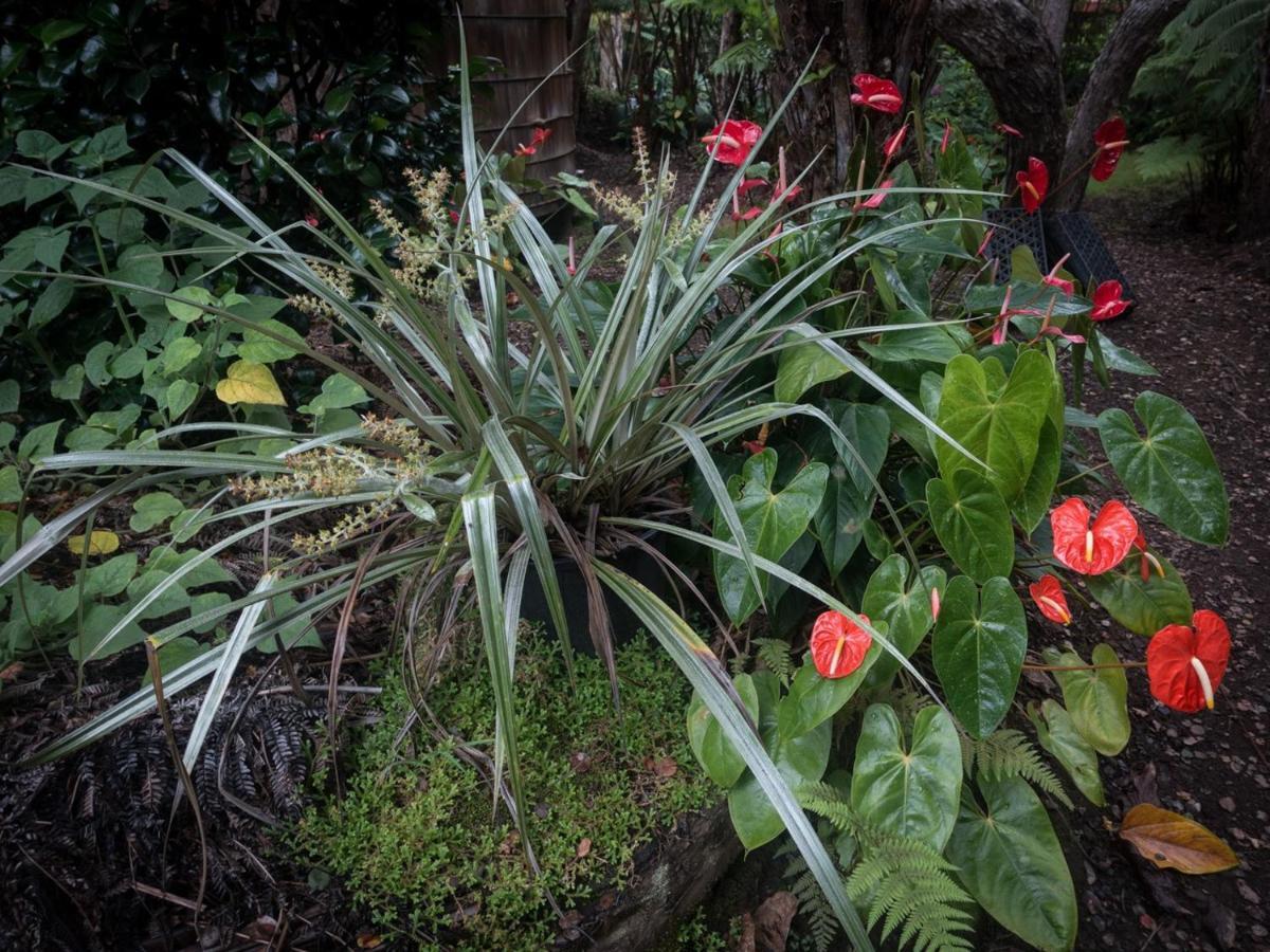 Crater Rim Cabin Hotel Volcano Exterior foto